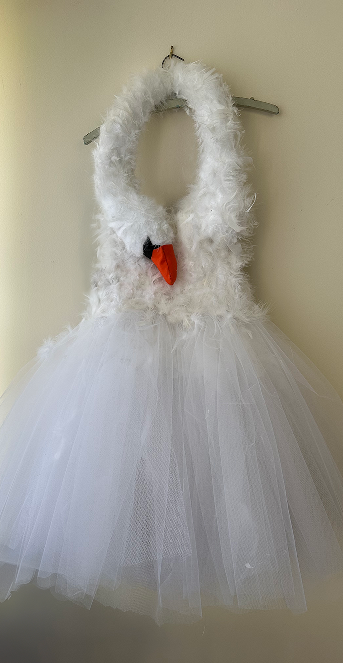 swan dress